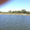 Marsala_2012 (269)